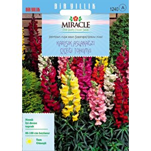 Miracle Antirrhinum Rainbow Mixed Karışık Aslanağzı Çiçeği Tohumu(200 Tohum)