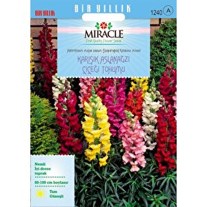Miracle Antirrhinum Rainbow Mixed Karışık Aslanağzı Çiçeği Tohumu(200 Tohum)
