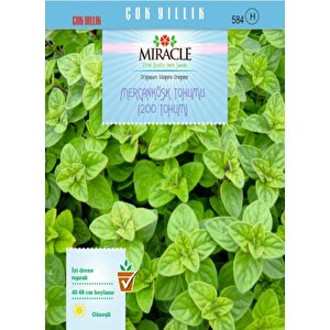 Miracle Mercanköşk Tohumu (200 Tohum)