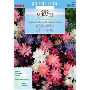 Miracle Karışık Renkli Katmerli Haseki Küpesi Çiçeği Tohumu(100 Tohum)