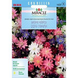 Miracle Karışık Renkli Katmerli Haseki Küpesi Çiçeği Tohumu(100 Tohum)