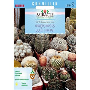 Miracle Karışık Kaktüs Bitkileri Çiçeği Tohumu (900 Tohum)