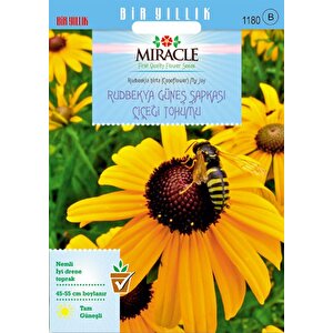 Miracle Hirto My Joy Rudbekya (güneş Şapkası) Çiçeği Tohumu (900 Tohum)