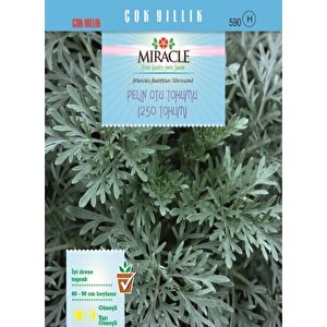 Miracle Pelin Otu Tohumu (250 Tohum)