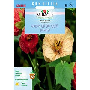 Miracle Karışık Renkli Çin Çan Çiçeği Tohumu (50 Tohum)