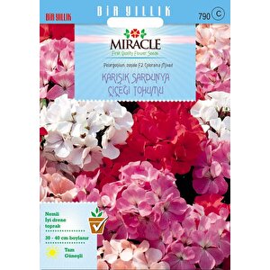 Miracle Colorama Karışık Renkli Hibrit Sardunya Çiçeği Tohumu (24 Tohum)
