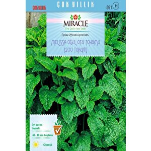 Miracle Melissa Oğul Otu Tohumu (200 Tohum)
