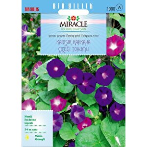 Miracle Karışık Fielgrown Kahkaha Çiçeği Tohumu (10 Tohum)