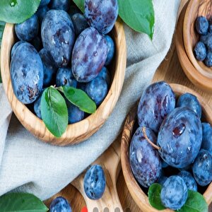 Mürdüm Eriği Tohumu (5 Adet)
