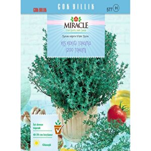 Miracle Kış Kekiği Tohumu (200 Tohum)