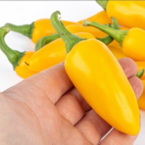 Jalepeno Yellow Çok Acı Biber Tohumu (15 Adet)