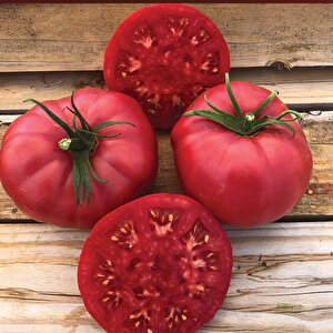 Henderson Pink Pembe Domates Tohumu (15 Tohum)