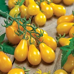 Sarı Ampul Domatesi Yellow Pear Domates Tohumu (15 Tohum)