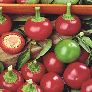 Geleneksel Red Cherry Tatlı Biber Tohumu 50 Tohum)