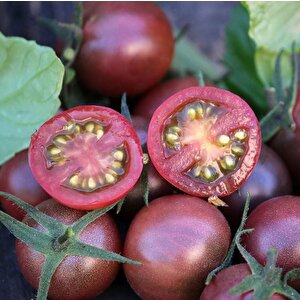 Nadir Black Cherry Siyah Domates Tohumu (15 Tohum)