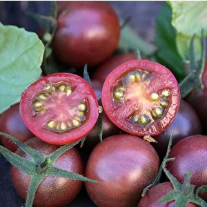 Nadir Black Cherry Siyah Domates Tohumu (15 Tohum)