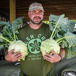 Ata Tohumları Geleneksel Giantl Kohlrabi (alabaş) Tohumu (15 Tohum)