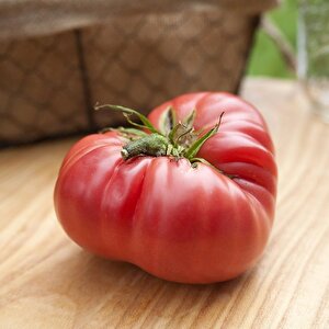 Etli Dilimli 1884 Domates Tohumu (15 Tohum)