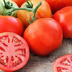 Ata Tohumları Iri Meyveli Etli Oturak Ancon Domates Tohumu (50 Tohum)