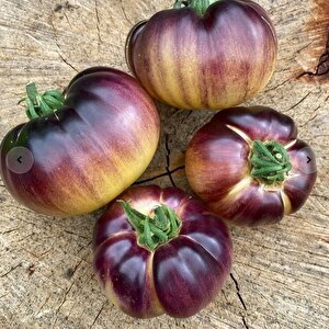 Mor Beyaz Great White Purple Domates Tohumu (15 Tohum)