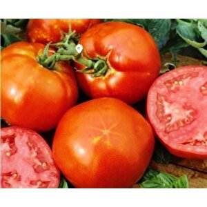 Doğal Homestead Domates Tohumu(20 Tohum)