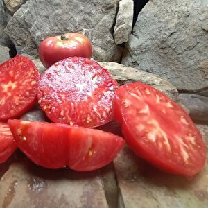 Olive Hill Etli Domates Tohumu (15 Tohum)