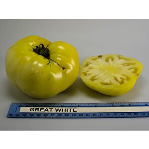 Doğal Great White Domates Tohumu (20 Adet)