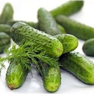 Bol Döken Rocket F1 Turşuluk Kornişon Hyar Tohumu (10 Tohum)