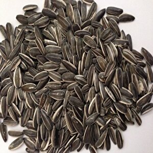 Doğal Siyah Çerezlik Çitlemelik  Ayçiçeği Çekirdek Tohumu (1 Kg)
