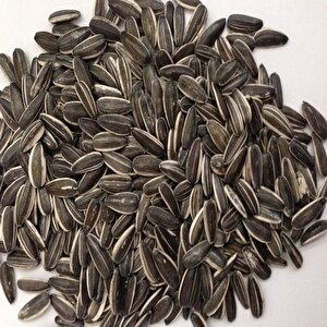 Doğal Siyah Çerezlik Çitlemelik  Ayçiçeği Çekirdek Tohumu (1 Kg)