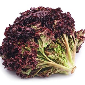 Geleneksel  Soğuğa Dayanıklı Ruby Red Kırmızı Kıvırcık Marul Tohumu (100tohum)