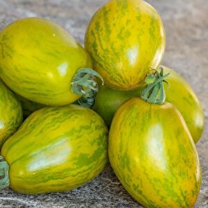 Dwarf Saucy Mary Yeşil Sarı Alacalı Etli Domates Tohumu (15 Tohum)