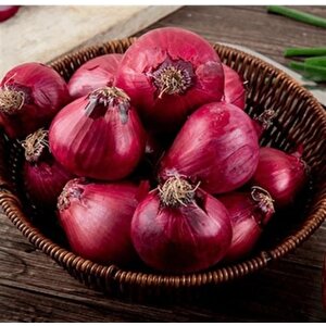 Ata Tohumları Geleneksel Yüksek Aromalı Ata 19 Kırmızı Çorum Tipi Soğan Tohumu(50 Tohum)