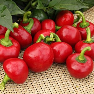 Geleneksel  Acı Hot Cherry Tatlı Kiraz Biber Tohumu (50 Tohum)