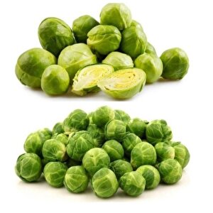 Brüksel Lahanası Fidesi (4 Adet)