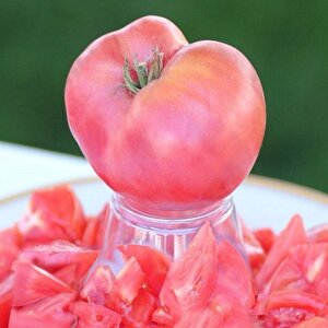 Etli Çok İri Meyveli Sevcan Sırık Pembe Domates Fidesi (5 Adet)