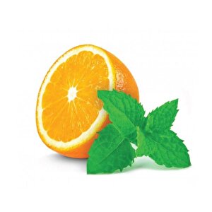 Portakal Aromalı Granada Nane Fidesi (2 Adet)