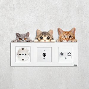 Cajuart Üçlü Sevimli Kediler Canlı Renk Ahşap Priz Sticker Dekor
