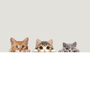 Cajuart Üçlü Sevimli Kediler Canlı Renk Ahşap Priz Sticker Dekor