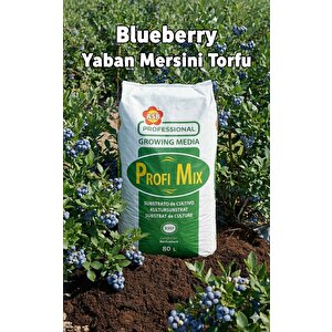 80 Lt Profimix İthal Blueberry Yaban Mersini Torfu -  Ph 3,5 - 4,2 Asidik Toprak 0-40 Mm