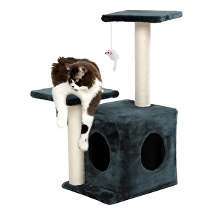 Pet Çift Basamaklı Yuvalı Kedi Tırmalaması Antrasit