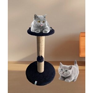Pet Stepli Kedi Tırmalama Tahtası Siyah