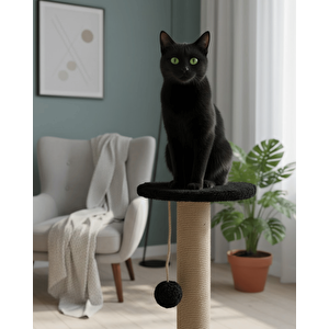 Reyo Pet Stepli Kedi Tırmalama Tahtası Siyah