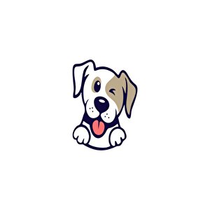 Pet Wi̇pes Evci̇l Hayvan Temi̇zli̇k Havlusu 300 Ad