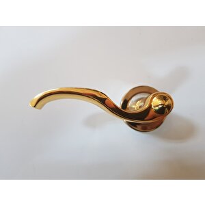 Çeli̇k Kapi Kolu Rozetli̇ Pri̇nç Hanedan Altin Sol