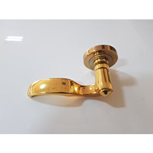 Çeli̇k Kapi Kolu Rozetli̇ Pri̇nç Hanedan Altin Sol