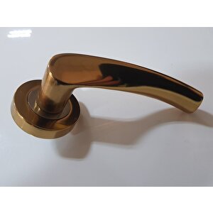 Çeli̇k Kapi Kolu Rozetli̇ Turna Albri̇fi̇n Saten Sağ