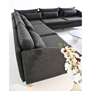 Fox Köşe Takimi - Antrasi̇t