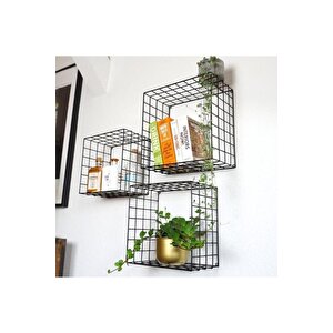 Metal 5×5 Tel Gözlü Kare Kafes Raf/3lü Set Çiçeklik - Siyah