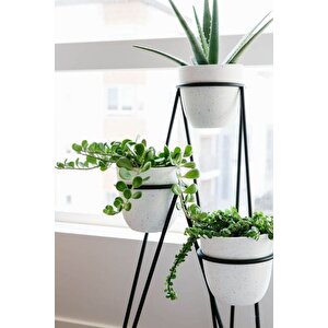 Trio 3lü Tek Parça Modern Çiçeklik – Saksılık Modelleri-saksı dahil değildir